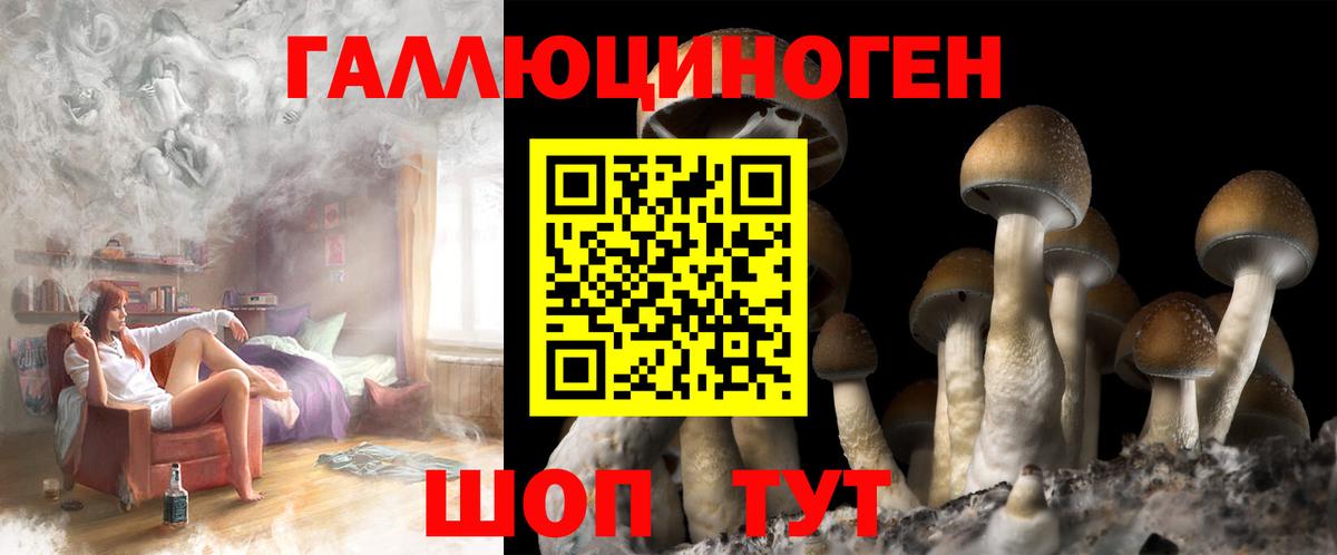 купить   Вход с VPN  Острогожск  Псилоцибиновые грибы Magic Shrooms 