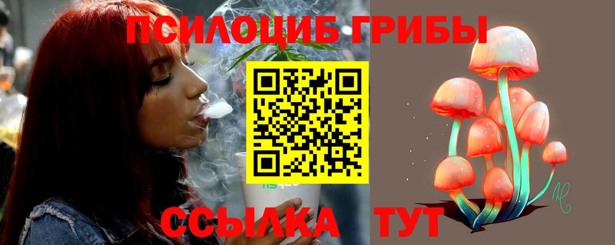 Галлюциногенные грибы Magic Shrooms Острогожск